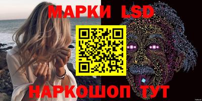 мдпв Бийск