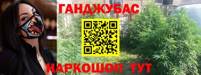 мдпв Бийск