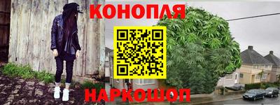 мдпв Бийск