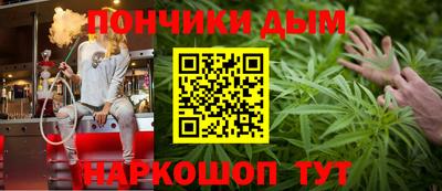 мдпв Бийск