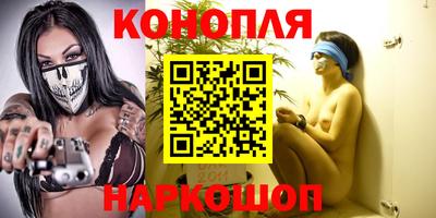 мдпв Бийск