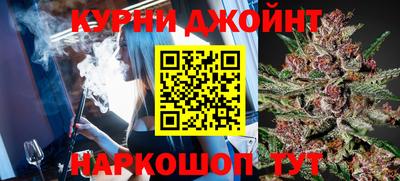 мдпв Бийск