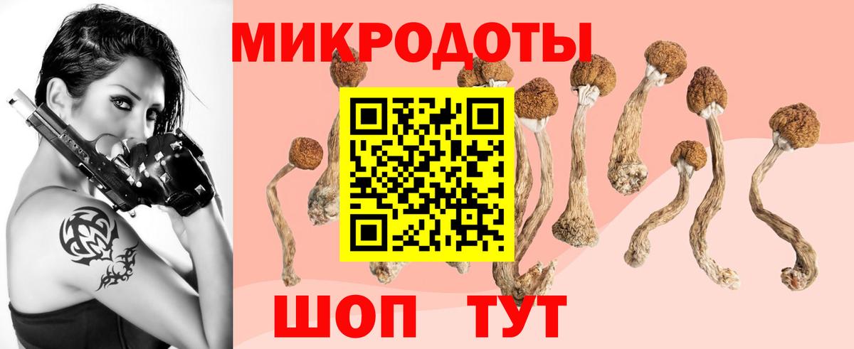 Галлюциногенные грибы мухоморы Кимры